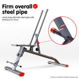 NNEDPE Powertrain Home Gym Bench Adjustable Flat Incline Decline FID 250KG Load