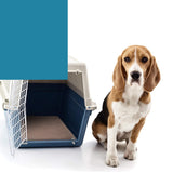 NNEDPE 2pcs Waterproof Washable Training Pee Pads -xl