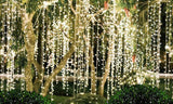 NNEDPE Led Curtain Lights Indoor Outdoor 3x3m (300led)