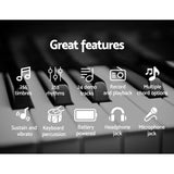 NNEDSZ 61 Keys LED Electronic Piano Keyboard