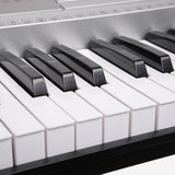 NNEDPE Karrera 61 Keys Electronic Keyboard Piano with Stand - Silver