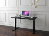 NNEKGE Dual Motor 2 Section Leg Standing Desk (Black)