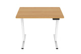 NNEKGE ET150 Series Standing Desk with USB Port (Natural White)