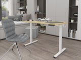 NNEKGE ET150 Series Standing Desk with USB Port (Natural White)