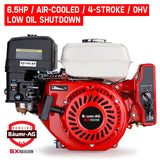 NNEMB 6.5HP Petrol Engine Stationary Motor OHV Horizontal Shaft Electric Start Recoil