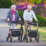 NNEMB 2-in-1 Foldable Aluminium Walking Frame Rollator and Transit Wheelchair with Bag-Titanium colour