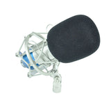 NNEDPE Karaoke Condenser Studio Dynamic Microphone