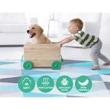 NNEDSZ Floor Rugs Rug 200 x 290 Area Large Carpet Soft Bedroom Modern Short Pile