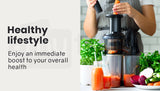 NNEMB Cold Press Slow Juicer with Sorbet function-Whole Fruit Chute