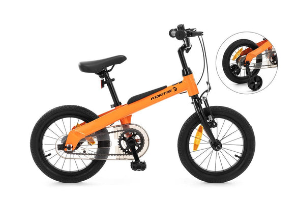 NNEKG Fortis 14 Kids Bike with Training Wheels
