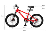 NNEKG Fortis Shimano 6 Speed 20 Kids Mountain Bike