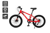 NNEKG Fortis Shimano 6 Speed 20 Kids Mountain Bike
