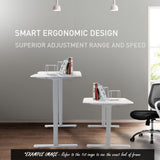 NNEMB Sit To Stand Up Standing Desk-160x75cm-62-128cm Electric Height Adjustable-Dual Motor-120kg Load-Arched-White Oak Style/Silver Frame