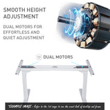 NNEMB Sit To Stand Up Standing Desk-160x75cm-62-128cm Electric Height Adjustable-Dual Motor-120kg Load-Arched-White/White Frame