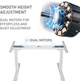 NNEMB Sit To Stand Up Standing Desk-150x70cm-62-128cm Electric Height Adjustable-Dual Motor-120kg Load-Walnut Style/Silver Frame