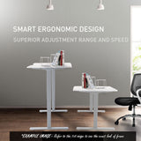 NNEMB Sit To Stand Up Standing Desk-160x75cm-62-128cm Electric Adjustable Height-Dual Motor-120kg Load-Arched-White Oak Style/Silver Frame