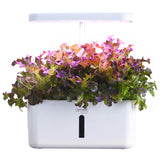 NNEMB 8 Pod Indoor Hydroponic Growing System-with Water Level Window & Pump-White