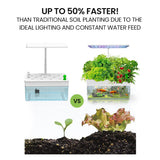 NNEMB 12 Pod Indoor Hydroponic Growing System with Fish Tank