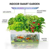 NNEMB 12 Pod Indoor Hydroponic Growing System with Fish Tank