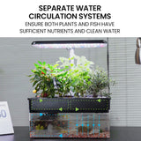 NNEMB 12 Pod Indoor Hydroponic Growing System with Fish Tank