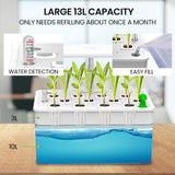 NNEMB 12 Pod Indoor Hydroponic Growing System with Fish Tank