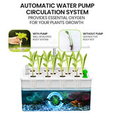 NNEMB 12 Pod Indoor Hydroponic Growing System with Fish Tank