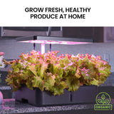 NNEMB 12 Pod Indoor Hydroponic Growing System-with Water Level Window & Pump-Black