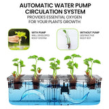 NNEMB 12 Pod Indoor Hydroponic Growing System-with Water Level Window & Pump-Black