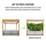NNEMB 12 Pod Indoor Hydroponic Growing System with Bamboo Frame & LED Lights