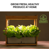 NNEMB 12 Pod Indoor Hydroponic Growing System with Bamboo Frame & LED Lights