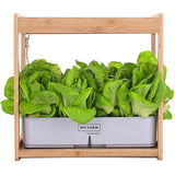 NNEMB 12 Pod Indoor Hydroponic Growing System with Bamboo Frame & LED Lights