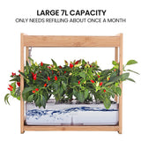 NNEMB 12 Pod Indoor Hydroponic Growing System with Bamboo Frame & LED Lights