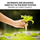 NNEMB 12 Pod Indoor Hydroponic Growing System-with Water Level Window & Pump-White