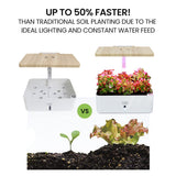 NNEMB 12 Pod Indoor Hydroponic Growing System-with Water Level Window & Pump-White