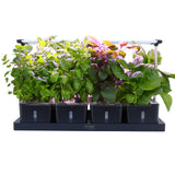 NNEMB 20 Pod Indoor Hydroponic Growing System-with Water Level Window