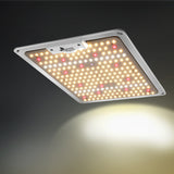 NNEDSZ 1000W LED Grow Light Full Spectrum Indoor Veg Flower All Stage