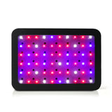 NNEDSZ 600W LED Grow Light Full Spectrum