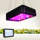 NNEDSZ 600W LED Grow Light Full Spectrum