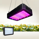 NNEDSZ 1000W LED Grow Light Full Spectrum