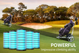 NNEMB 12V 24Ah Lithium Battery for Electric Golf Buggy