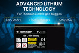 NNEMB 12V 24Ah Lithium Battery for Electric Golf Buggy