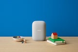 NNEKG Nest Audio Smart Speaker Chalk