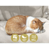NNEDSZ Hammock Hanging Swing Chair - Cream