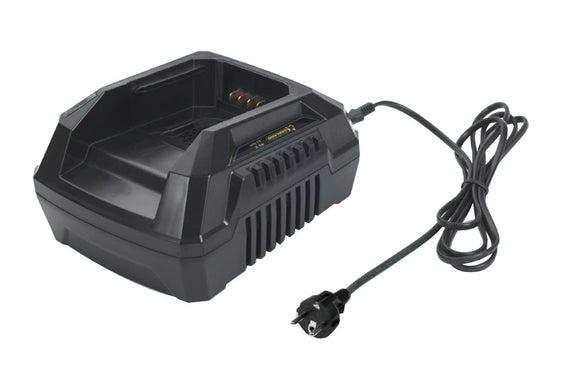NNEKG Hyundai 40V 2.0Ah Charger