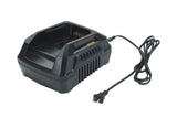 NNEKG Hyundai 40V Grass Trimmer Kit with 2Ah Battery & Charger