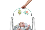 NNEKG Ingenuity Swing N Go Portable Swing Hugs & Hoots