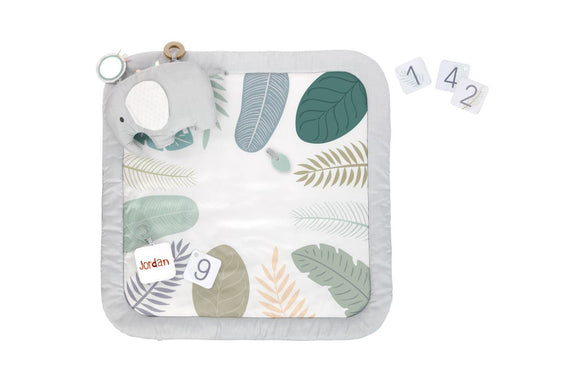 NNEKG Ingenuity Sprout Spot Baby Milestone Play Mat