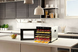 NNEKG 6 Tray Food Dehydrator