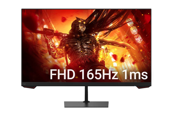 NNEKG 24 Full HD 165Hz 1ms FreeSync Gaming Monitor (1920 x 1080)