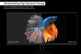 NNEKG 29 Ultrawide Full HD 75Hz Freesync IPS Monitor (2560 x 1080)